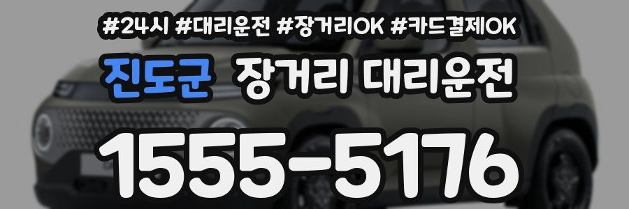 진도군 장거리 대리운전