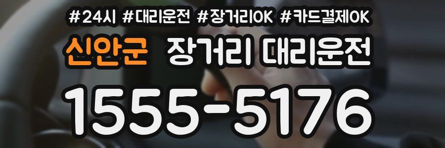 신안군 장거리 대리운전