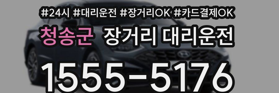 청송군 장거리 대리운전