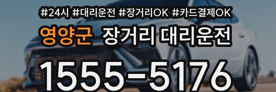 영양군 장거리 대리운전