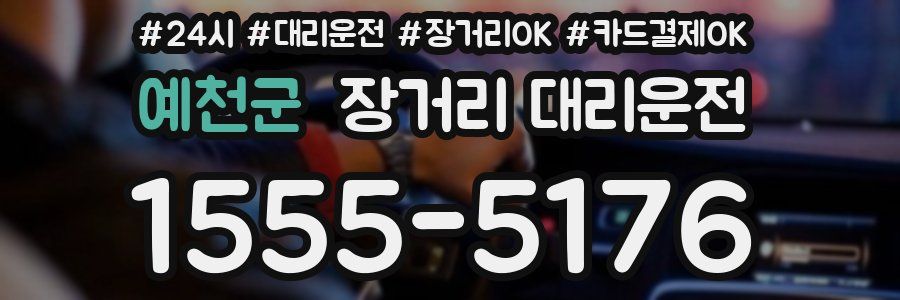 예천군 장거리 대리운전