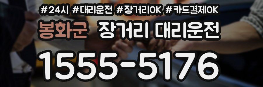 봉화군 장거리 대리운전