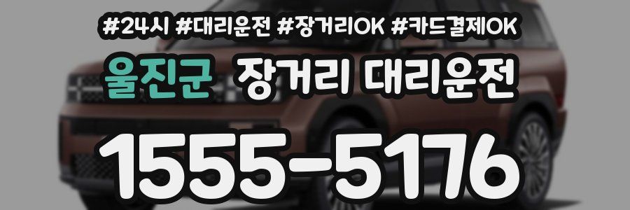 울진군 장거리 대리운전