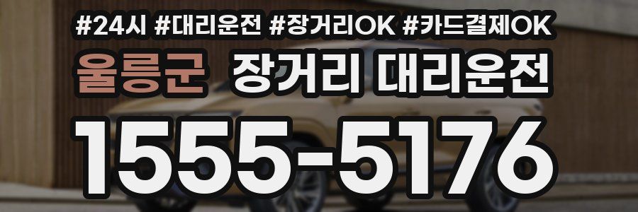 울릉군 장거리 대리운전