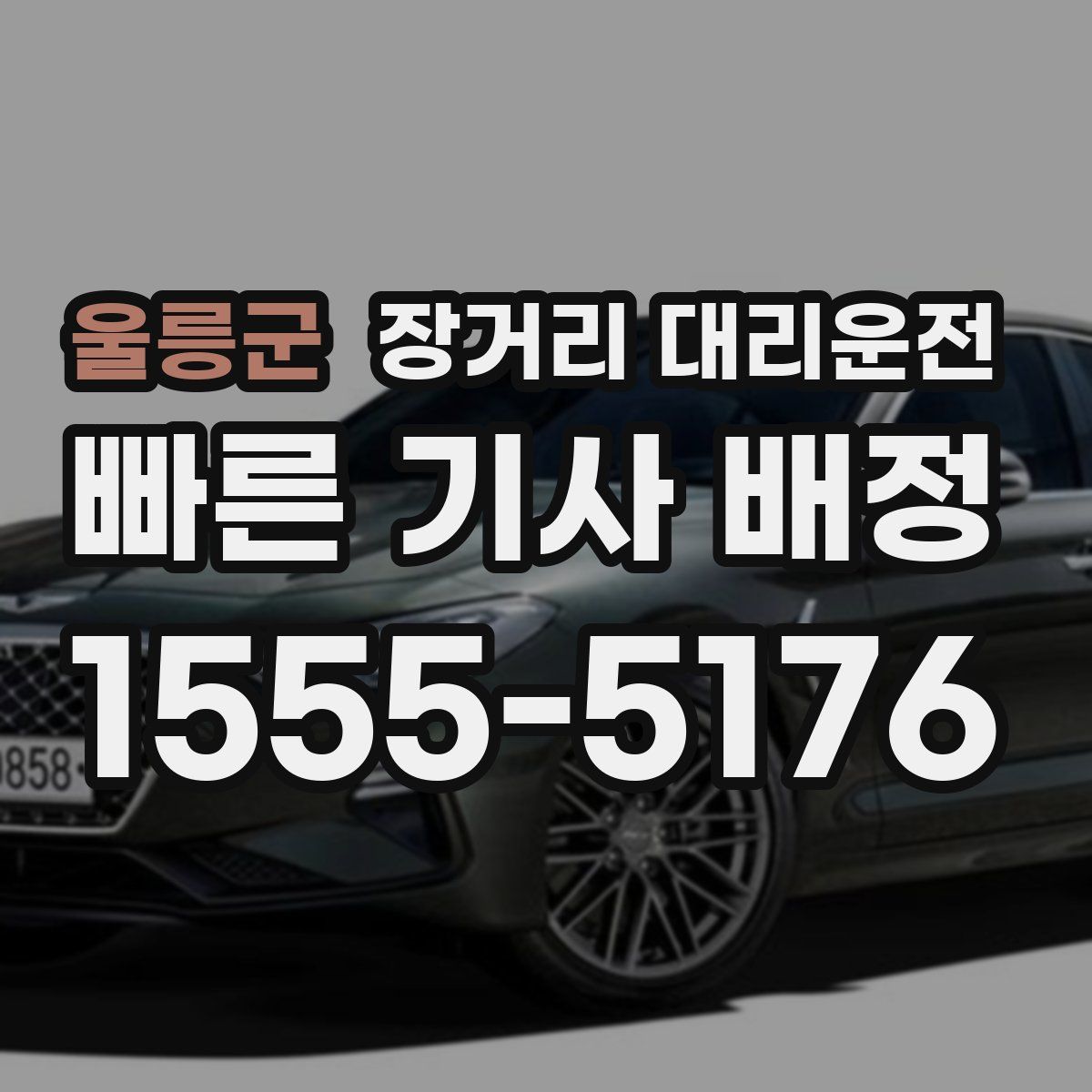 울릉군 장거리 대리운전