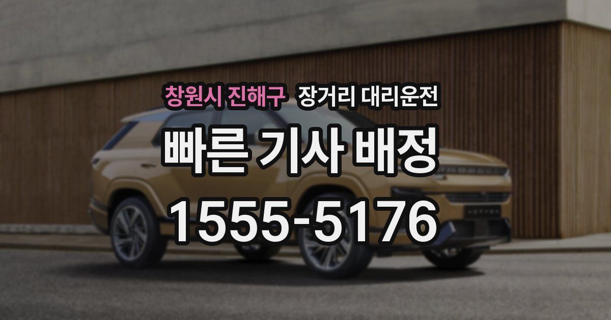 창원시 진해구 장거리 대리운전