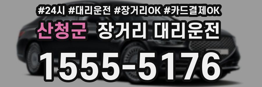 산청군 장거리 대리운전