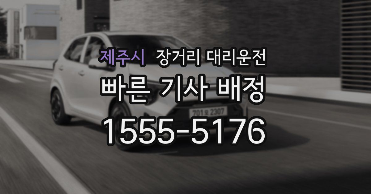 제주시 장거리 대리운전