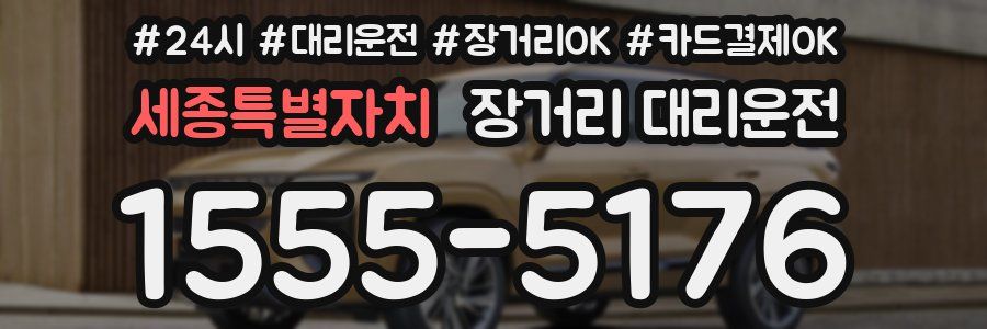 세종특별자치 장거리 대리운전