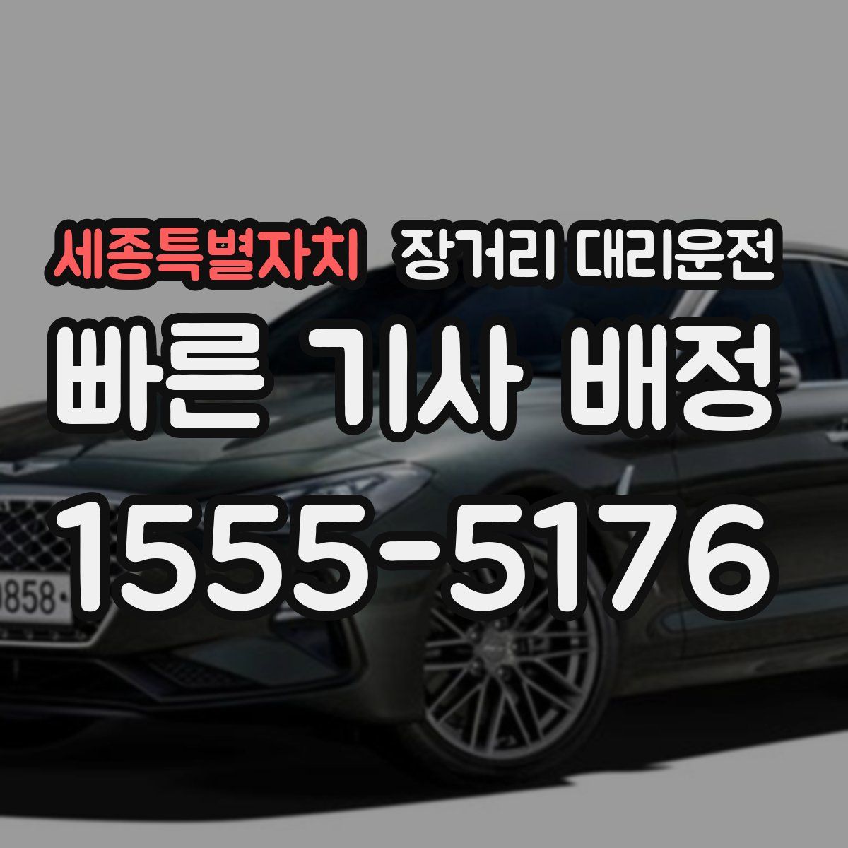 세종특별자치 장거리 대리운전