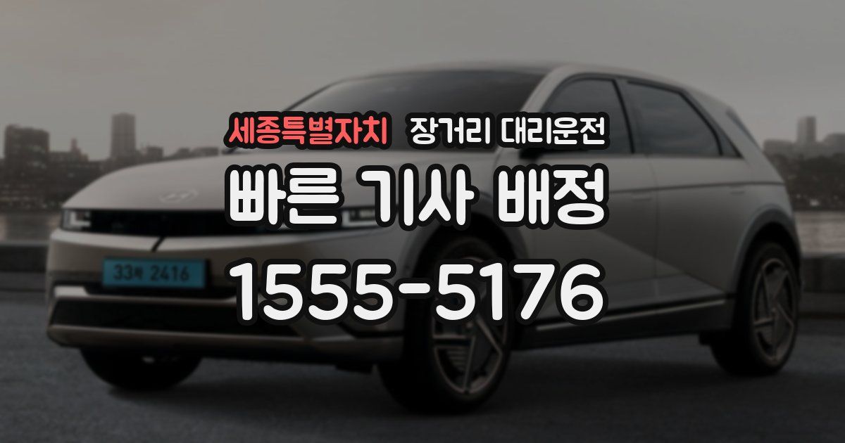세종특별자치 장거리 대리운전