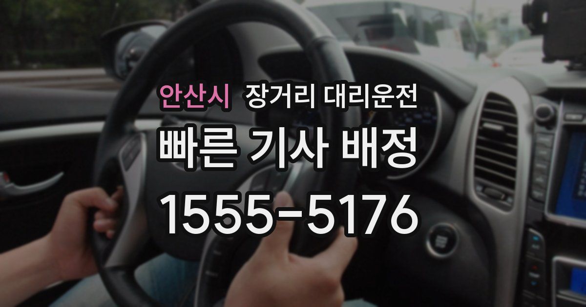 안산시 장거리 대리운전