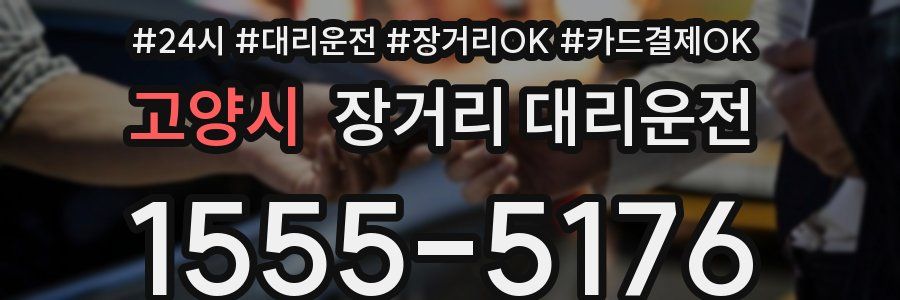 고양시 장거리 대리운전