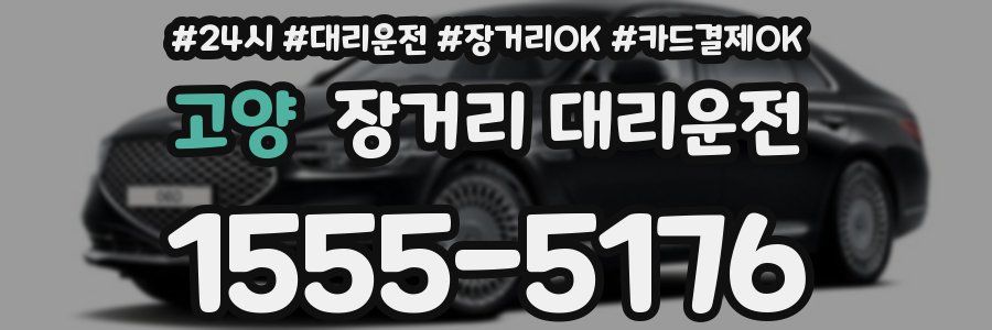 고양 장거리 대리운전
