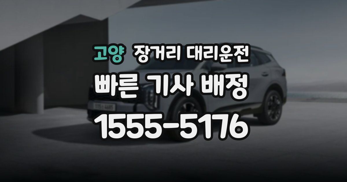 고양 장거리 대리운전