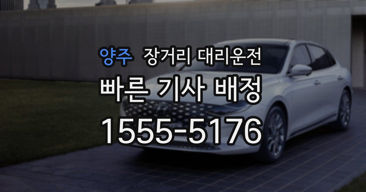 양주 장거리 대리운전