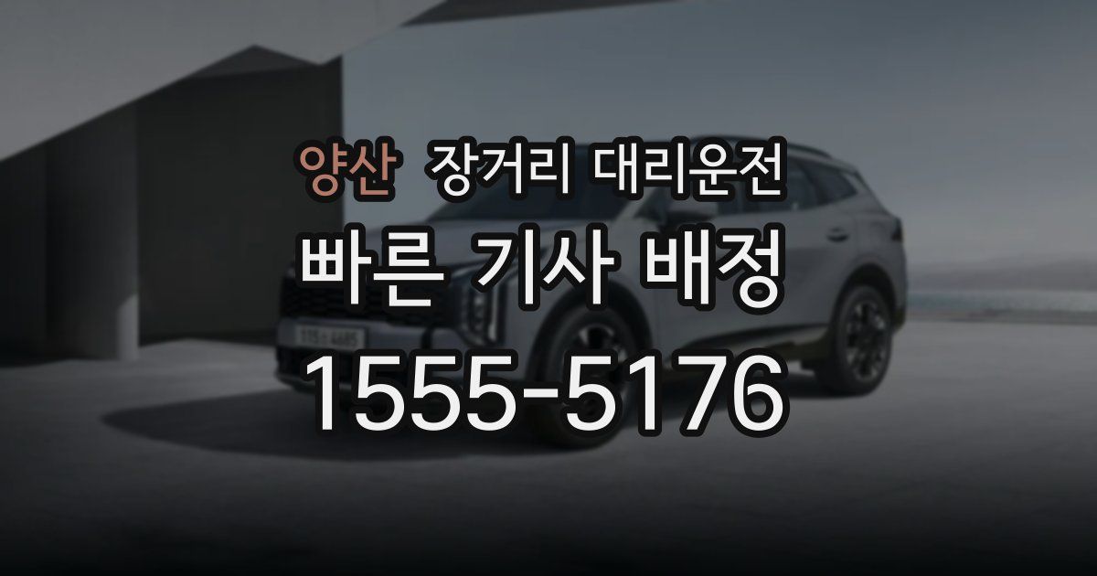 양산 장거리 대리운전