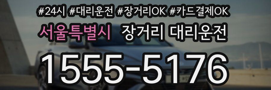 서울특별시 장거리 대리운전