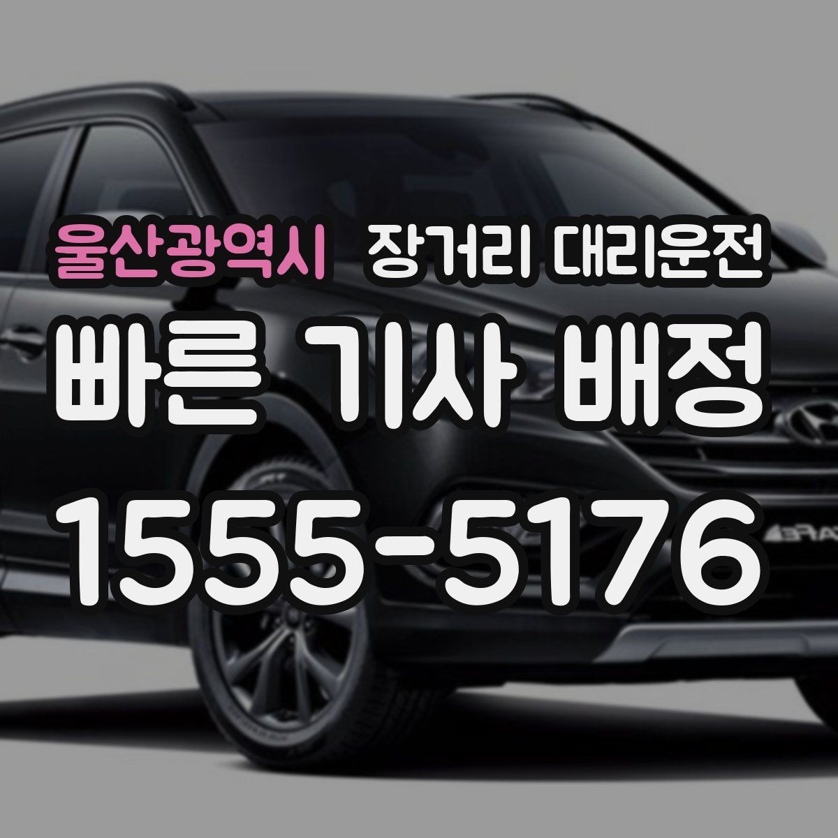 울산광역시 장거리 대리운전