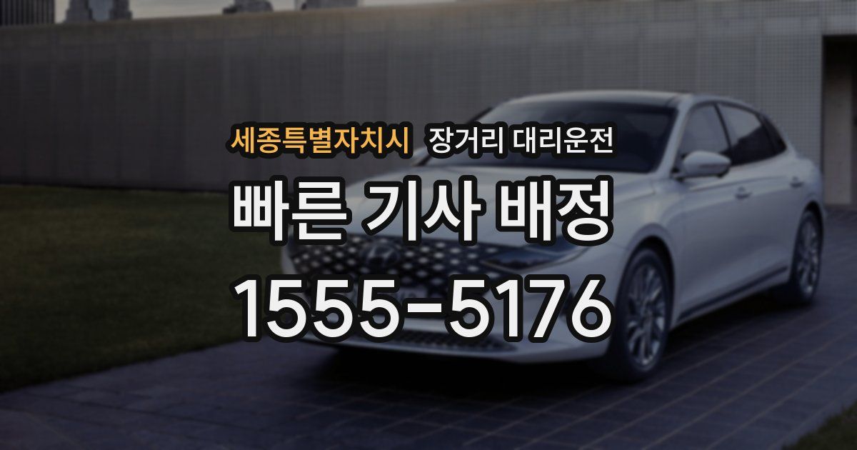 세종특별자치시 장거리 대리운전