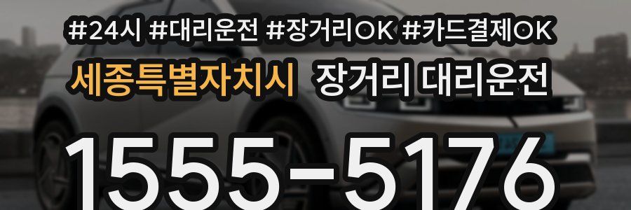 세종특별자치시 장거리 대리운전