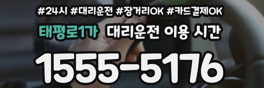 태평로1가 대리운전 이용 시간