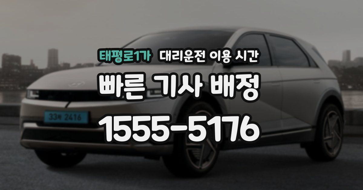 태평로1가 대리운전 이용 시간