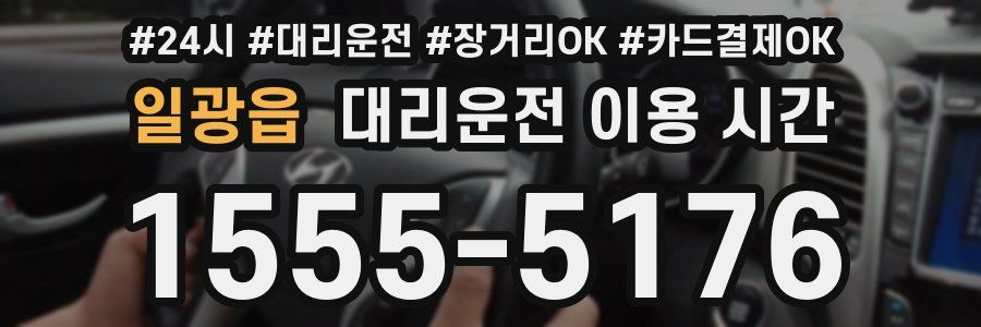 일광읍 대리운전 이용 시간