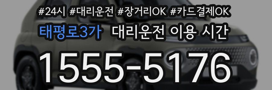 태평로3가 대리운전 이용 시간