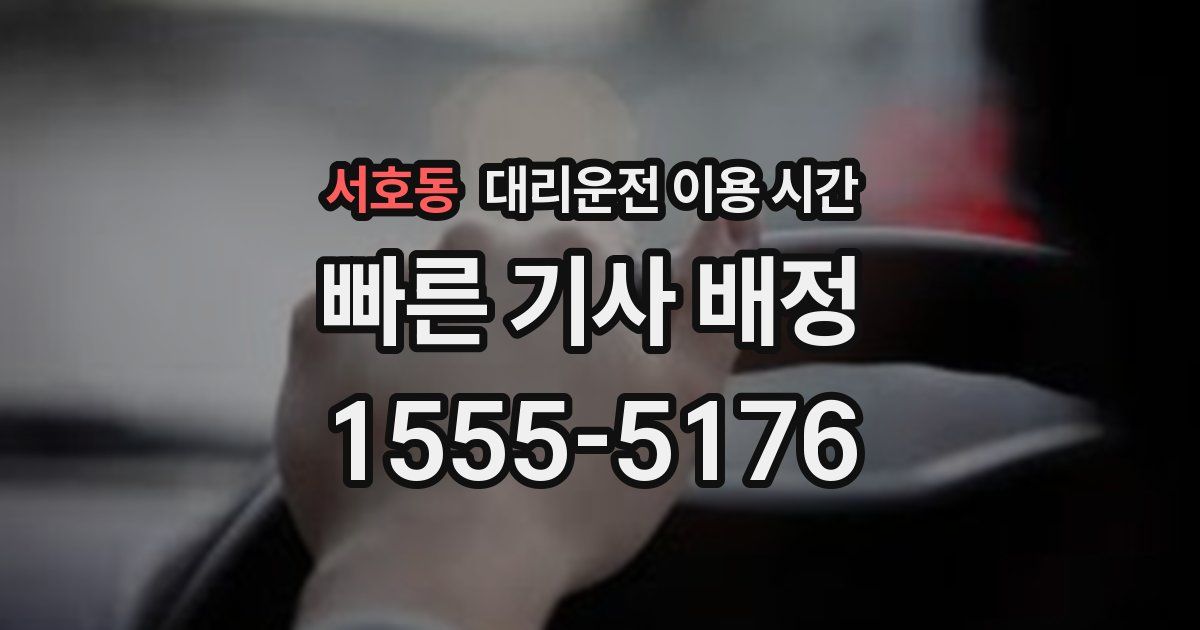 서호동 대리운전 이용 시간