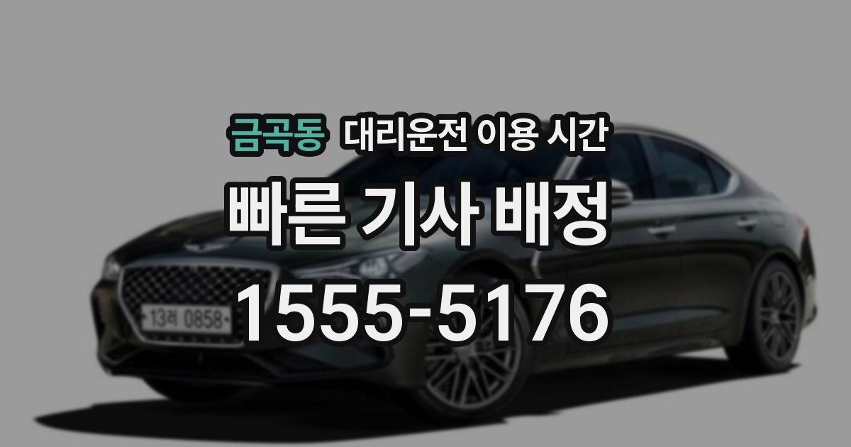 금곡동 대리운전 이용 시간