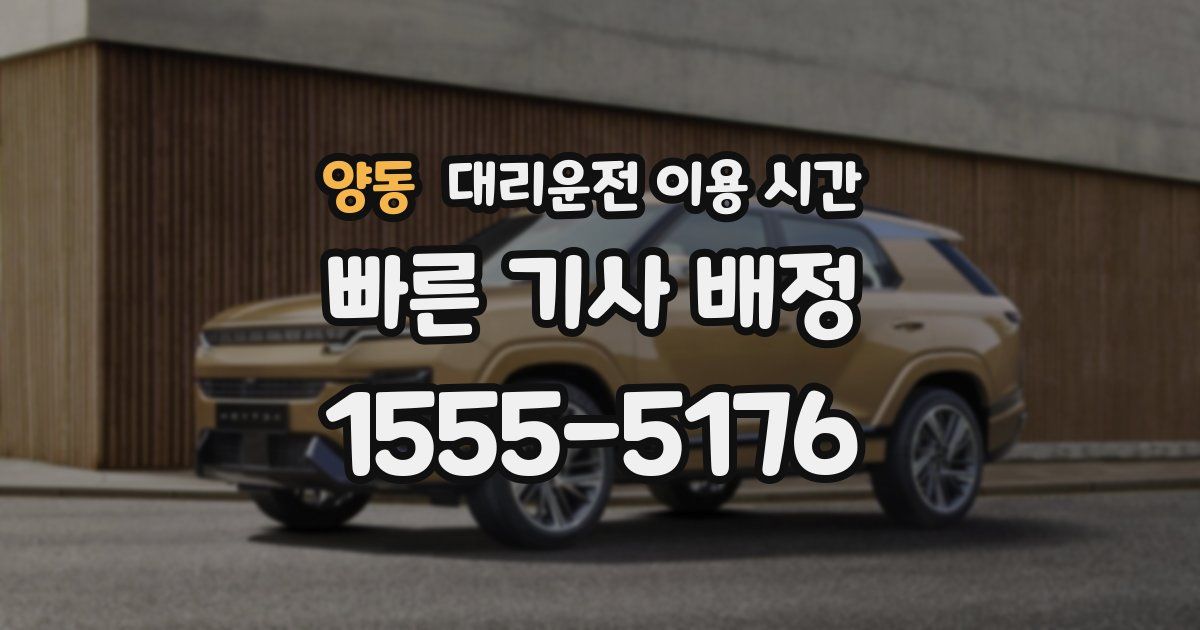 양동 대리운전 이용 시간