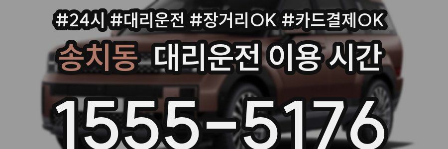 송치동 대리운전 이용 시간