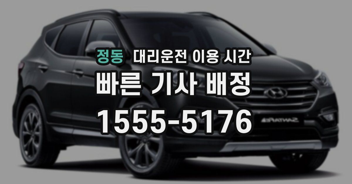 정동 대리운전 이용 시간