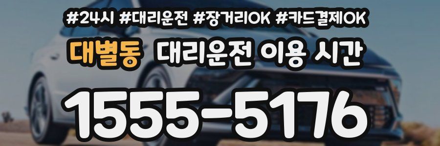 대별동 대리운전 이용 시간