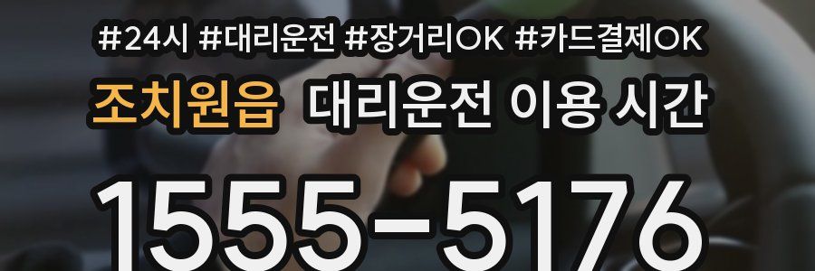 조치원읍 대리운전 이용 시간
