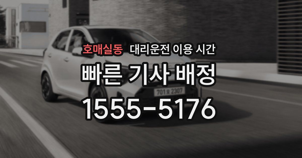 호매실동 대리운전 이용 시간