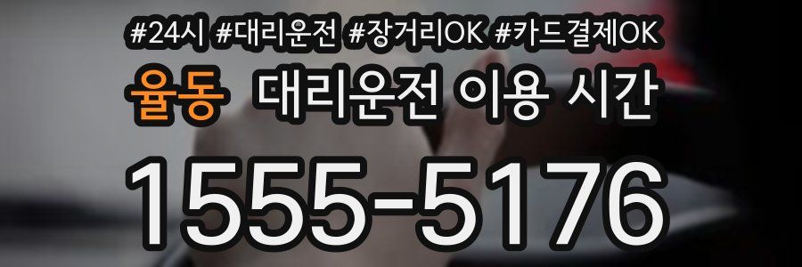 율동 대리운전 이용 시간