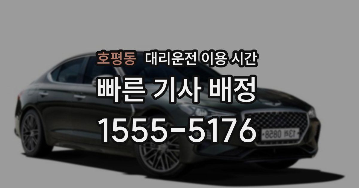 호평동 대리운전 이용 시간