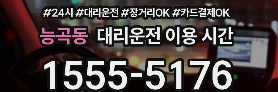 능곡동 대리운전 이용 시간