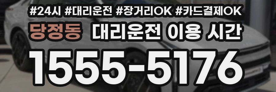당정동 대리운전 이용 시간