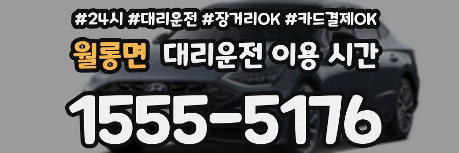 월롱면 대리운전 이용 시간