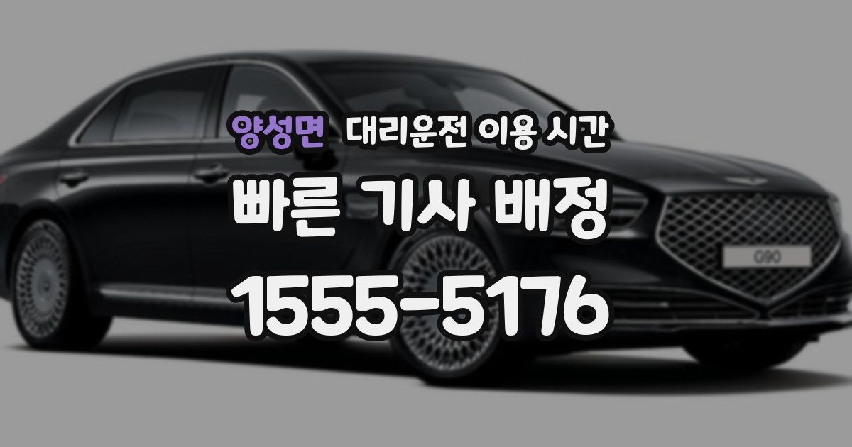 양성면 대리운전 이용 시간