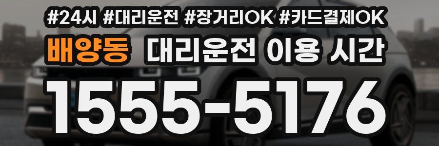 배양동 대리운전 이용 시간
