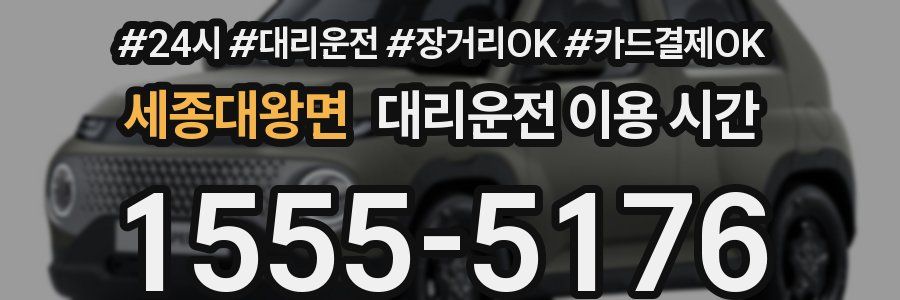 세종대왕면 대리운전 이용 시간