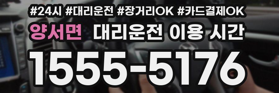 양서면 대리운전 이용 시간