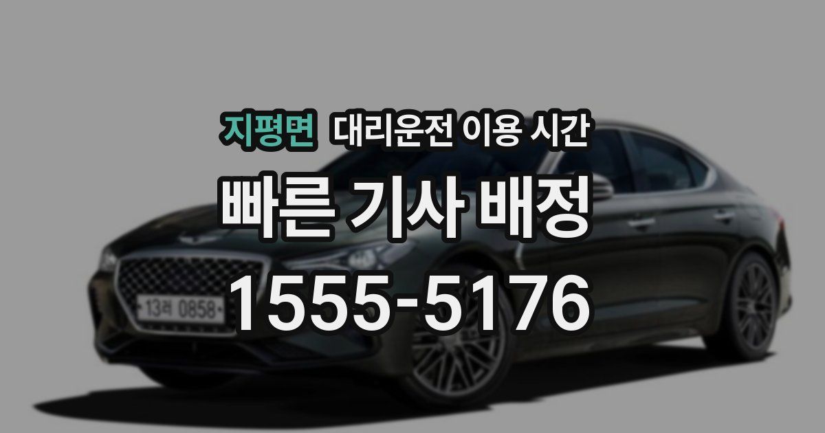 지평면 대리운전 이용 시간