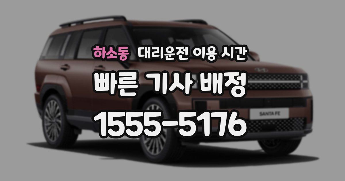 하소동 대리운전 이용 시간
