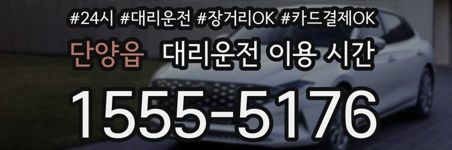 단양읍 대리운전 이용 시간