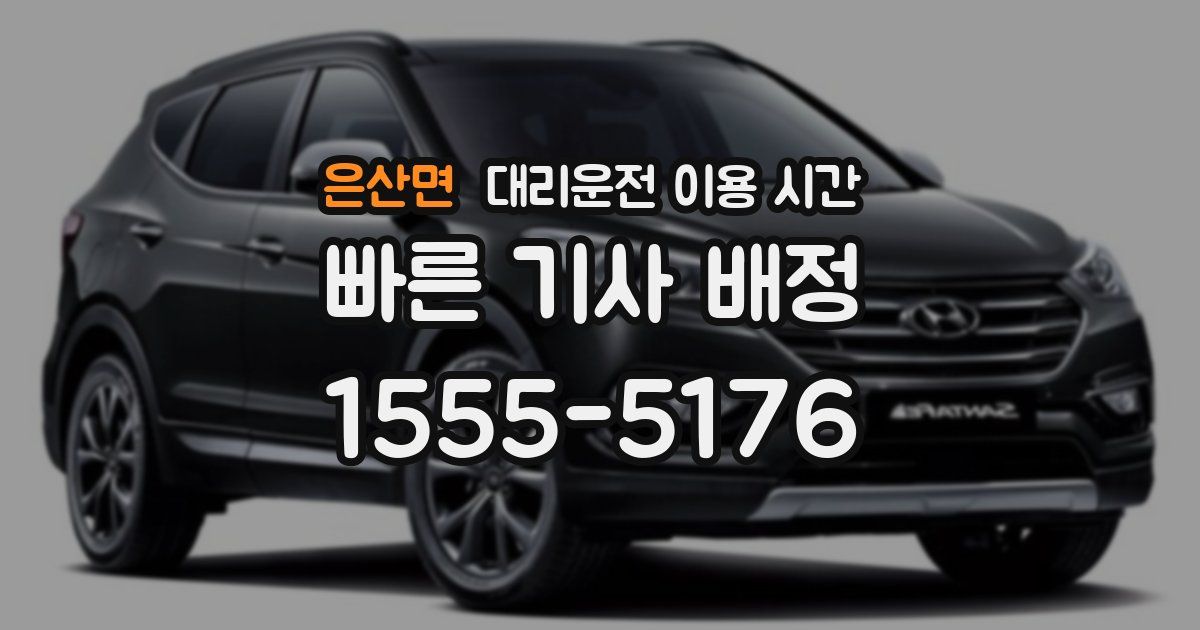 은산면 대리운전 이용 시간
